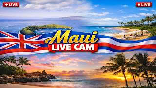 Maui Webcams