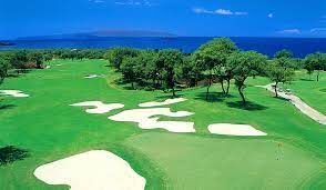 Hawaii Webcams - LIVE 24/7/365