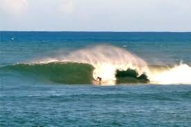 Hawaii Webcams - LIVE 24/7/365