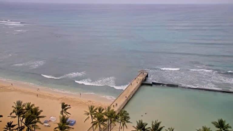Waikiki Webcams